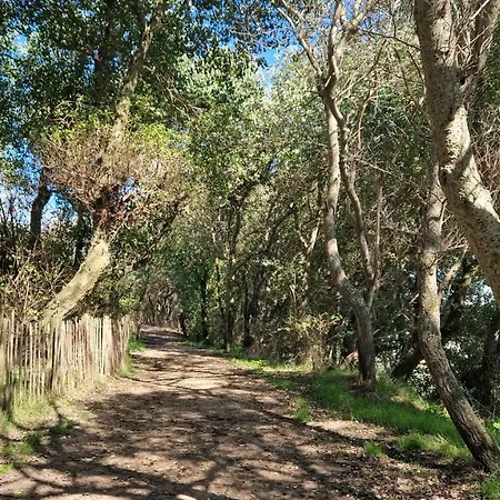 Ferienhaus Vissershuisje 89 Te