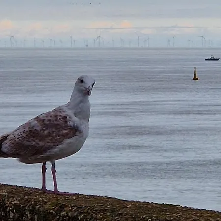 Vissershuisje 89 Te Wenduine