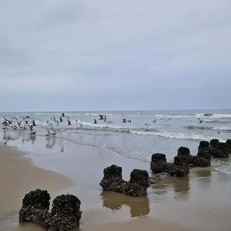 Vissershuisje 89 Te Ferienhaus Wenduine