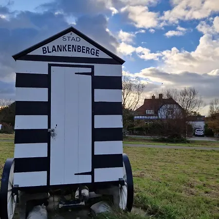 Ferienhaus Vissershuisje 89 Te