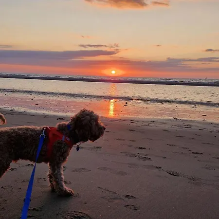 Ferienhaus Vissershuisje 89 Te