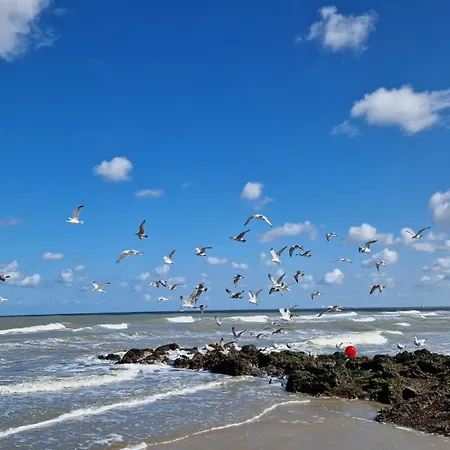 Vissershuisje 89 Te *