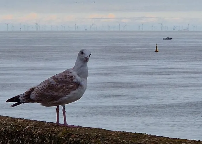 Vissershuisje 89 Te Wenduine