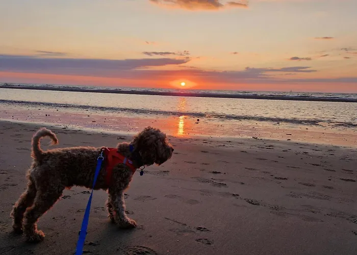 Holiday home Vissershuisje 89 Te